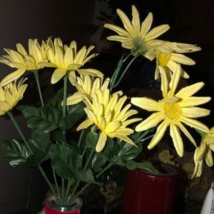 Meet your Posher, Tarah